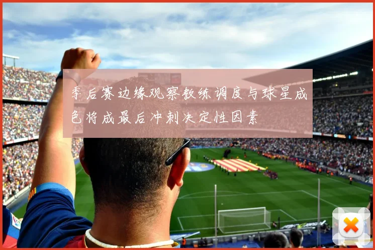 季后赛边缘观察教练调度与球星成色将成最后冲刺决定性因素