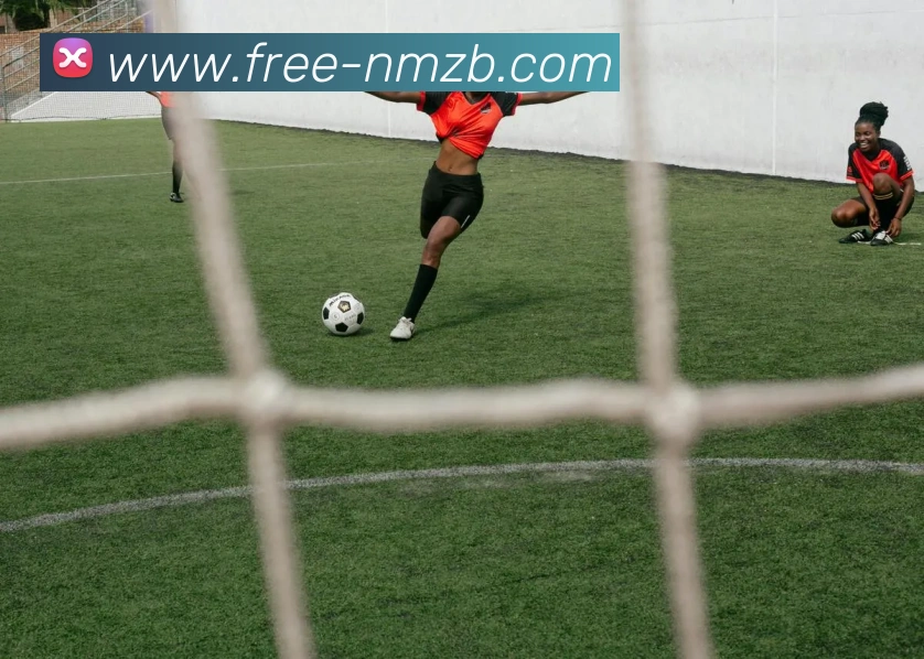 App Interface Preview